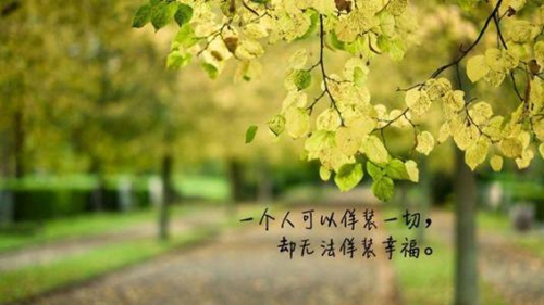 情话幸福句子大全