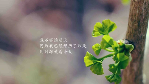 隐藏式表白古诗