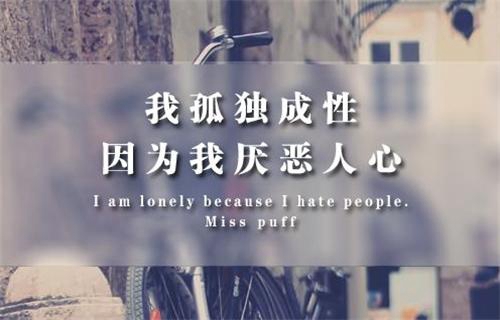 情人节情话红包