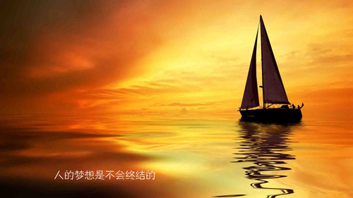 她姓秦的专属情话句子图片