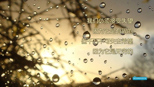 闺蜜表白信