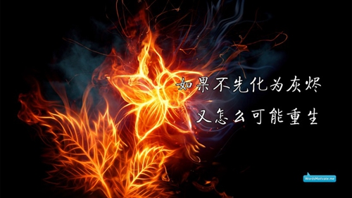 每天一句简短暖心情话