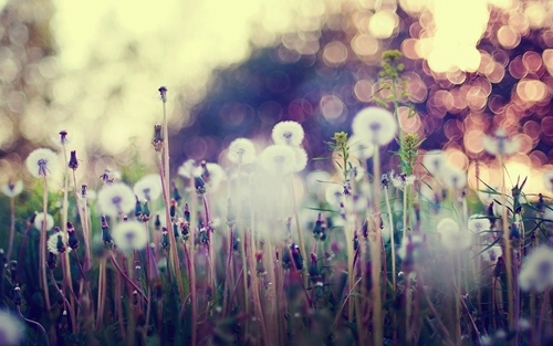 烟雨桃花潭优美语句赏析