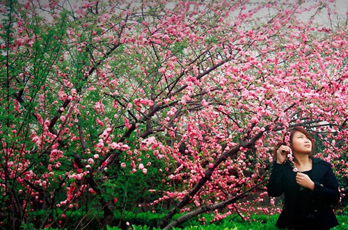 与世无争歌词情话大全