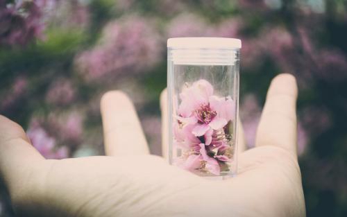 小春花上官秋月情话大全