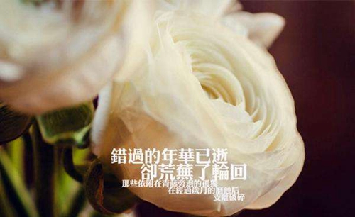 最甜的英语情话翻译
