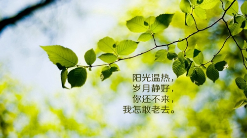 伤感情话百度网盘
