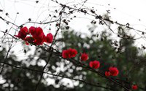 分居异地情话