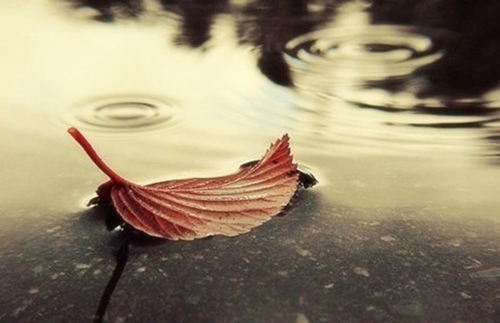 雷佳音经典情话