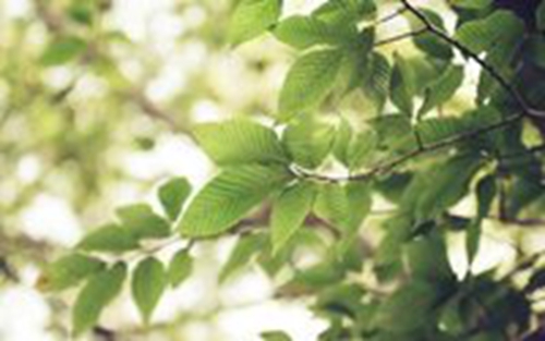 推荐20句我们的教师节短信