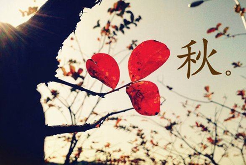 温暖小情话大全（推荐15条）