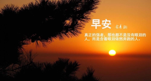 王思聪聊天记录情话