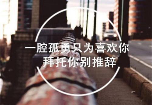 胶囊情书短句