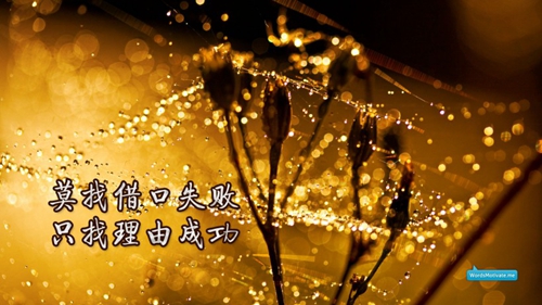 动感影集图片