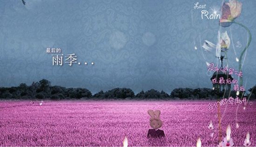 的情话