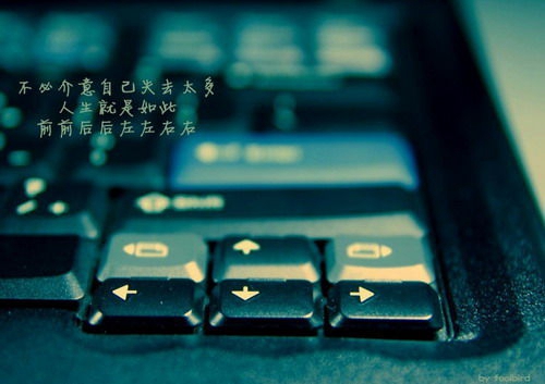 关于江应怜的网名