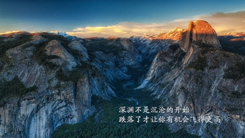 表白语言大全八字