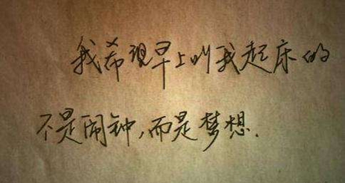 不需要敷衍精选
