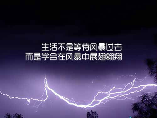 2021恋爱中英文情话带翻译