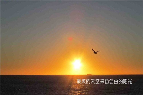 短句情话风景配图