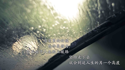 霍先生情话大全