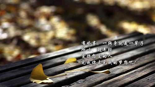 关于月亮的白话情话有哪些
