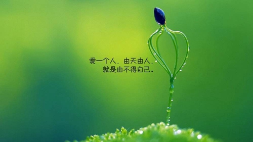 写给情侣的一封信用英语写的