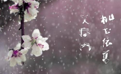 写给始終一個人丶的情话
