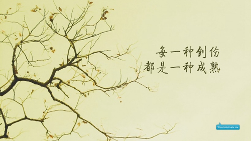 关于尾随的qq情话有哪些