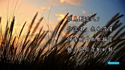 2025女生对男生表白的话