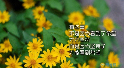 七夕适合对异地恋女友说的情话