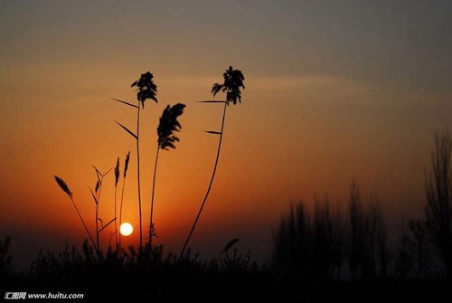 给女朋友七夕节转账情话
